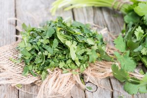 egy csokor koriander